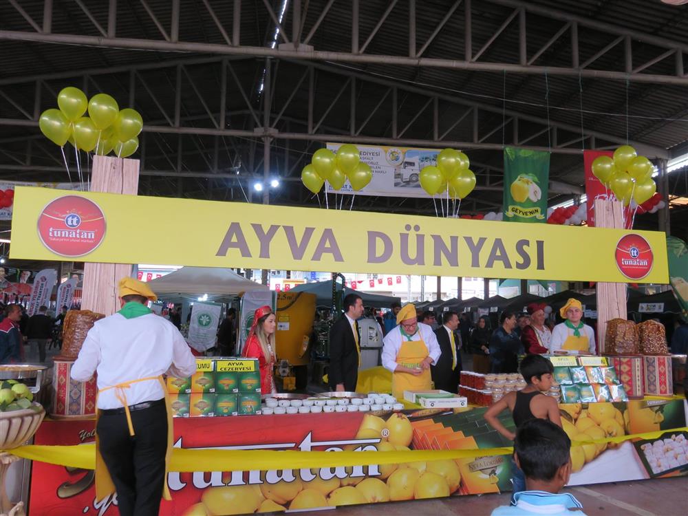 Geyve Ayva Festivali (3).jpg